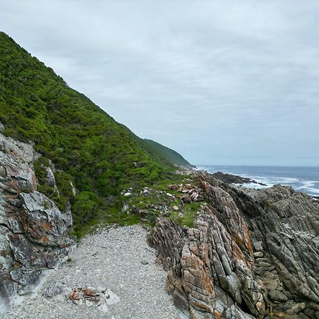 The Stargazing Cube - Misty Mountain Reserve Stormsrivier Eksteriør billede
