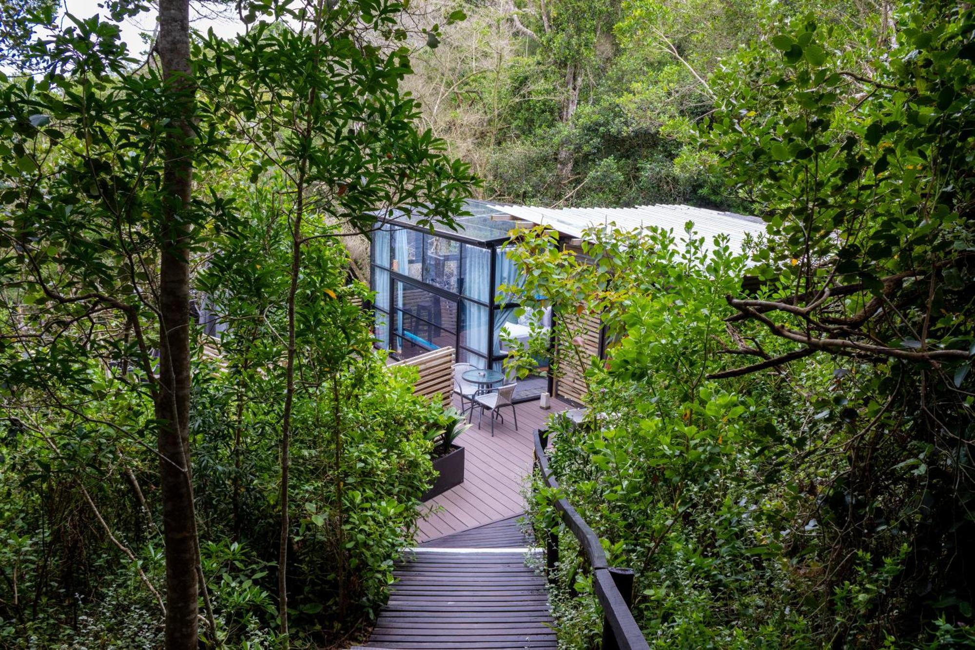 The Stargazing Cube - Misty Mountain Reserve Stormsrivier Eksteriør billede